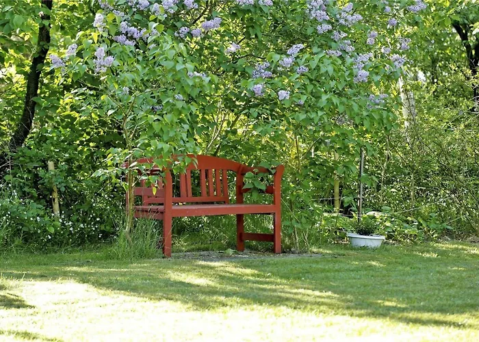 30383-odder-lyngbakkevej-10 Σπίτι διακοπών